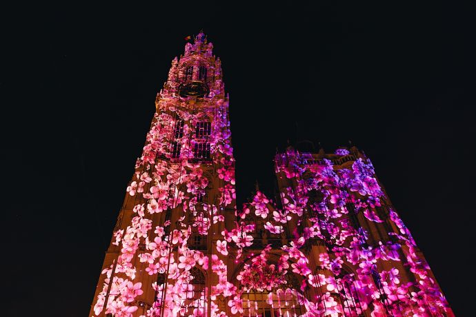 Video mapping Kathedraal Antwerpen