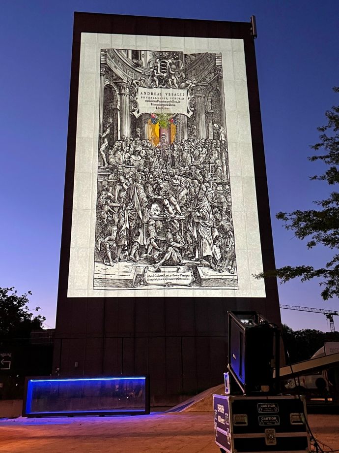 Team Vesalius outdoor projection